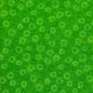 Lime-Green-1-1
