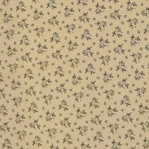 MODA-Cream-With-Black