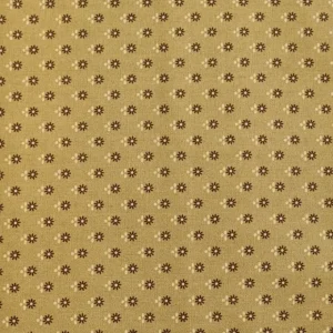 Mustard-With-Brown-1